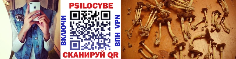 Галлюциногенные грибы Psilocybine cubensis  Чайковский 