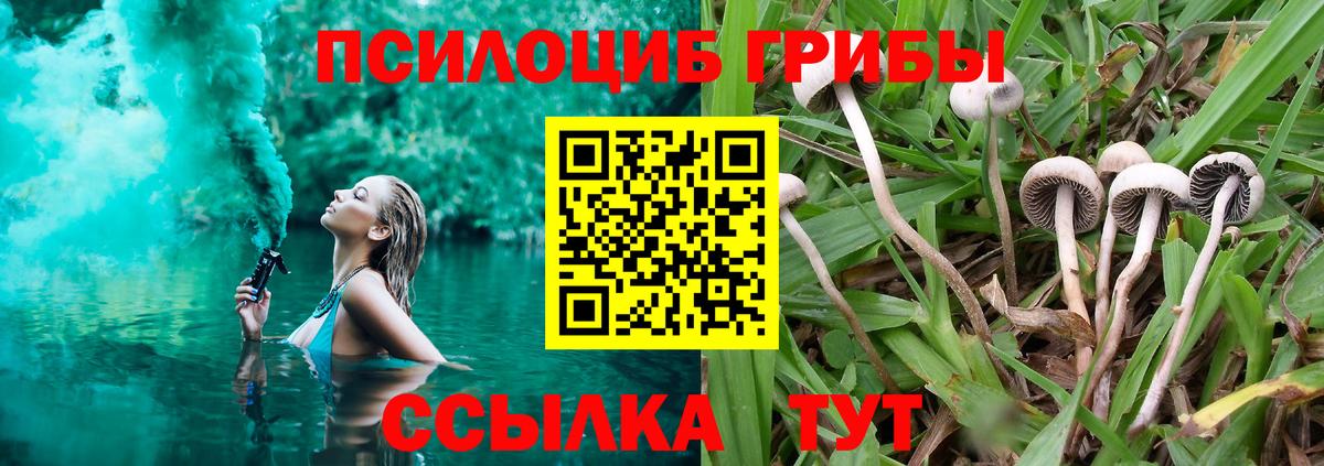 Псилоцибиновые грибы GOLDEN TEACHER  Псилоцибиновые грибы Psilocybe  Вход с VPN  где купить   Чайковский 