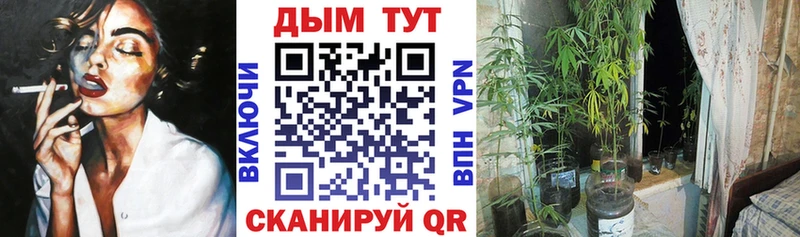 мега ссылка  Чайковский  Шишки марихуана гибрид 