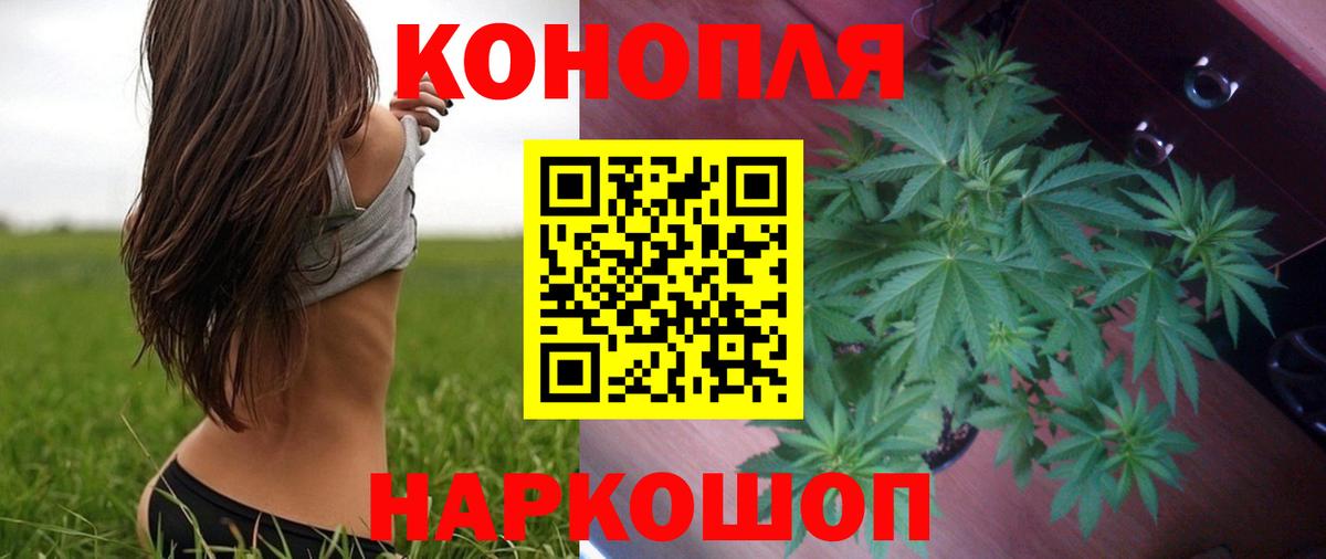Канабис планчик Чайковский